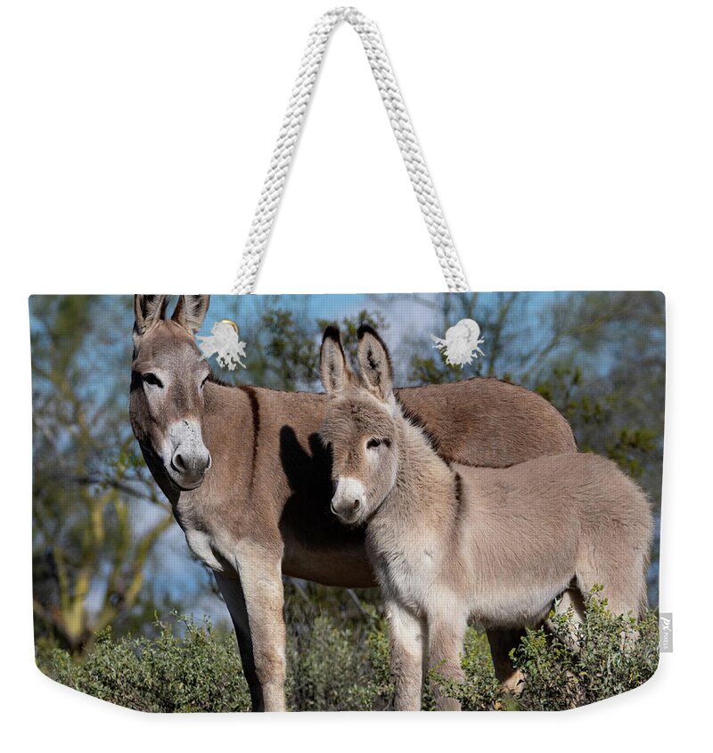 Wild Burros Weekender Tote Bag featuring the photograph Always watching by Mary Hone
