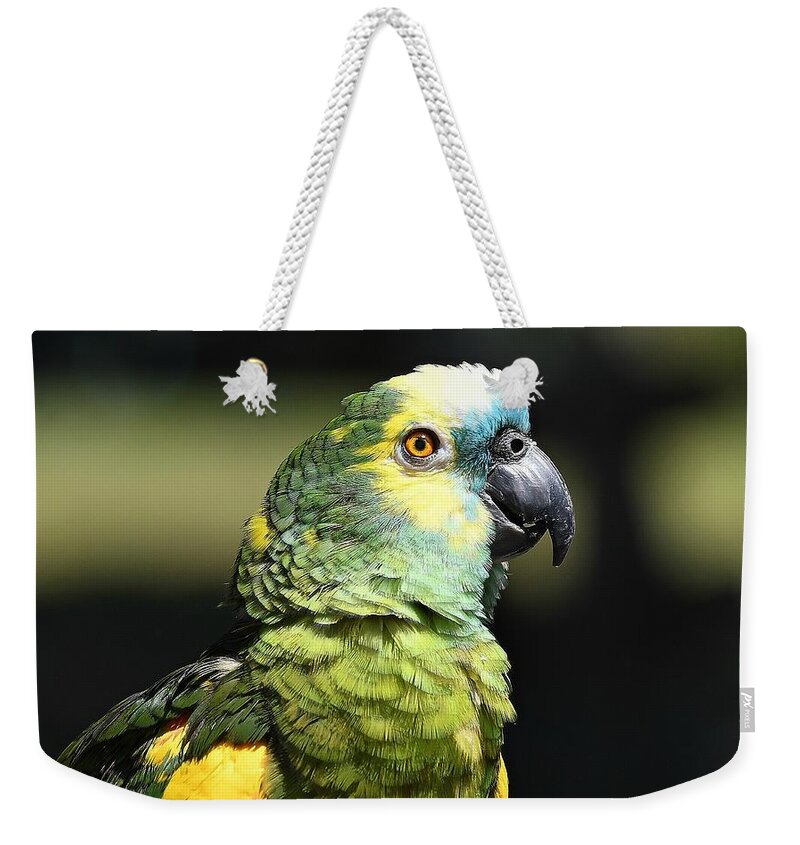Blue Fronted Amazon Parrot Weekender Tote Bag featuring the photograph Amazon Beauty by Fraida Gutovich