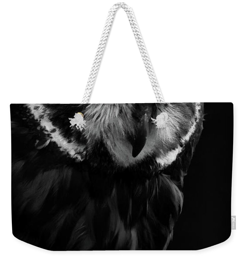Short Eared Owl- Owl-#forowllovers- Owl Lovers- Raptors-birds Of Prey- Stunning- Black And White Photography- Images Of Rae Ann M. Garrett - #viral- -buffalobillcenterofthewest- Draper Raptor Experience- Peoplewho Love Owls Weekender Tote Bag featuring the photograph Amelia by Rae Ann M Garrett