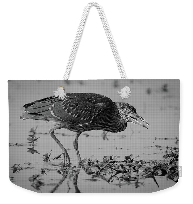 Full Length Weekender Tote Bag featuring the photograph American Bittern Fishing by Mike Fusaro