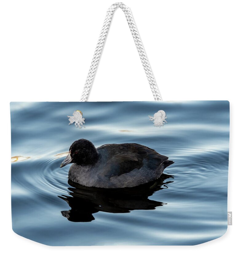 Coot Weekender Tote Bag featuring the photograph American Coot by Cathy Kovarik
