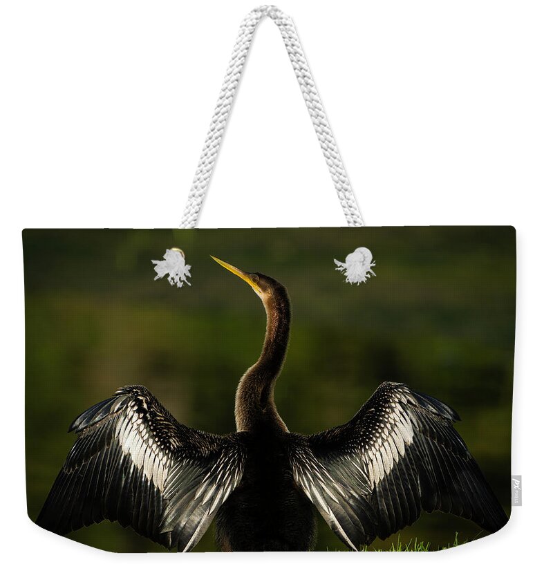 Birds Weekender Tote Bag featuring the photograph American Darter by Larry Marshall