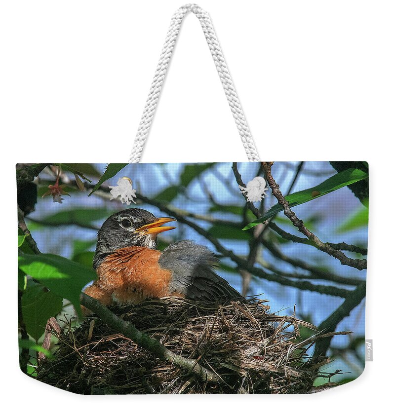 Nature Weekender Tote Bag featuring the photograph American Robin Sitting on Nest DSB0369 by Gerry Gantt