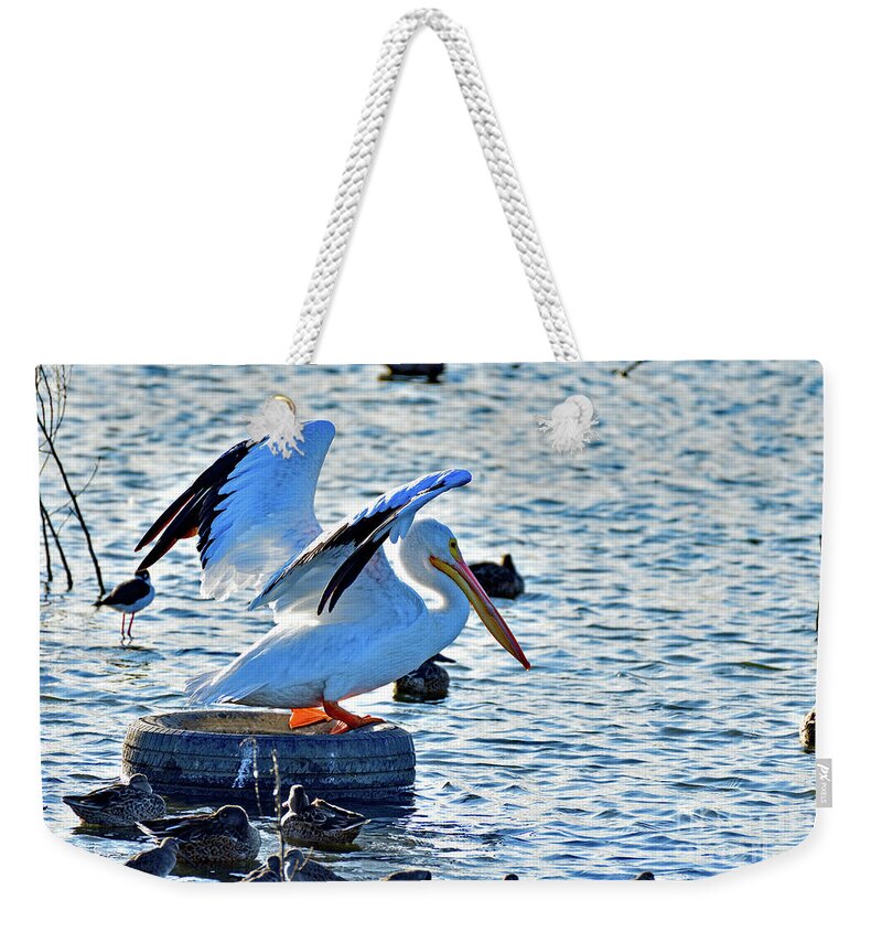 American White Pelican Weekender Tote Bag featuring the photograph American white pelican by Amazing Action Photo Video