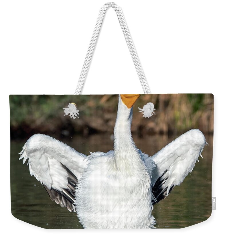 American White Pelicans Weekender Tote Bag featuring the photograph American White Pelicans 7144-120420-3 by Tam Ryan