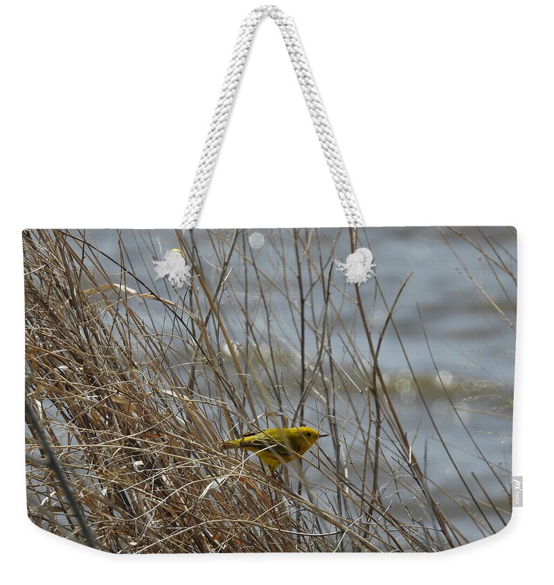 Warbler Weekender Tote Bag featuring the photograph American Yellow Warbler on the Lake Shore by Amanda R Wright