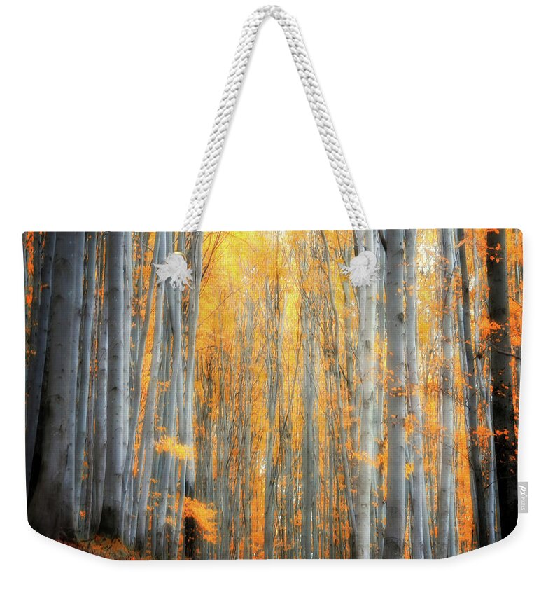 Autumn Weekender Tote Bag featuring the photograph An Autumn in the Forest by Philippe Sainte-Laudy