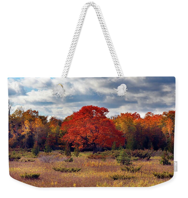 Back Roads Weekender Tote Bag featuring the photograph An Autumn Standout by David T Wilkinson