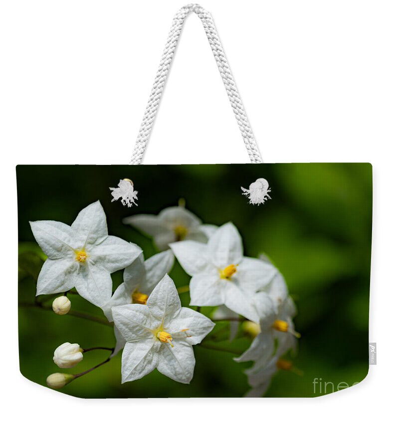 White Weekender Tote Bag featuring the photograph An elegant white flower by The P