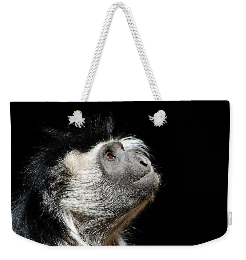 Angolan Colobus Monkey Weekender Tote Bag featuring the photograph An Eye to the Heavens by Bonny Puckett