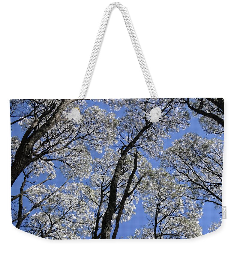 Trees Weekender Tote Bag featuring the photograph Ancient Tree Tops by Maryse Jansen
