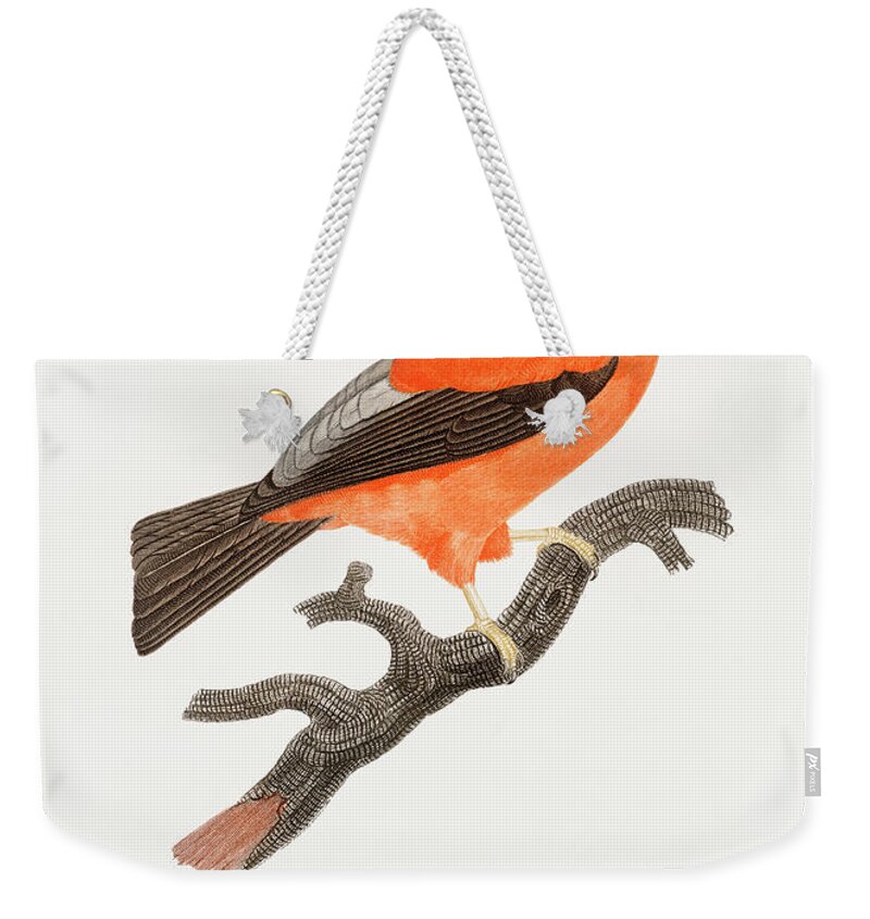 Oiseau Weekender Tote Bags