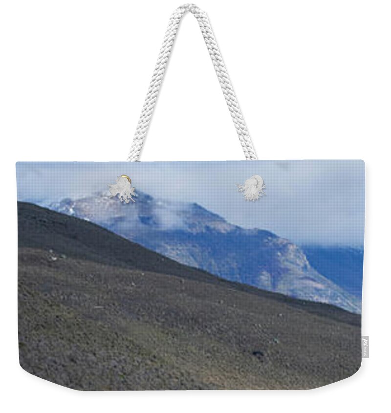Andes Weekender Tote Bag featuring the photograph Andes and Guanaco by Patrick Nowotny
