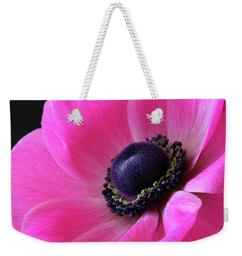 Macro Weekender Tote Bag featuring the photograph Anemone Pink by Julie Powell