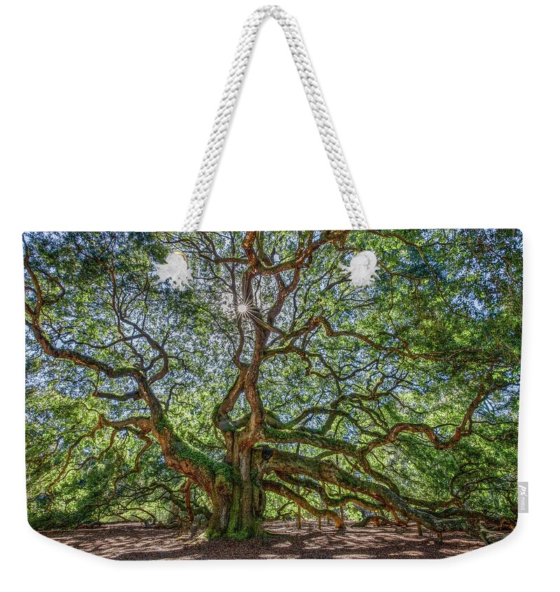 Charleston Weekender Tote Bag featuring the photograph Angel Oak Magic by Marcy Wielfaert