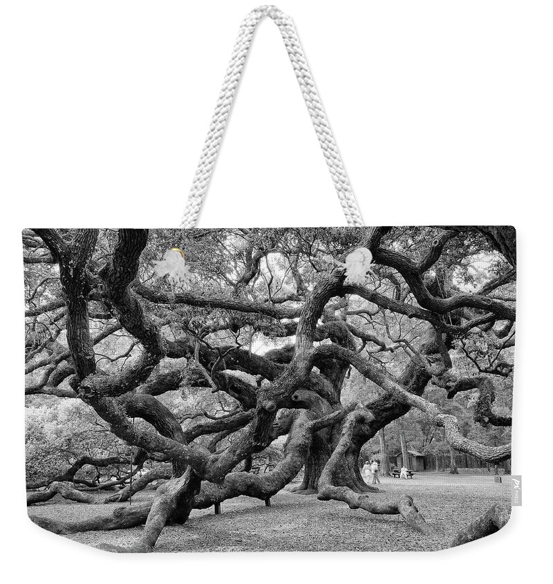 Angel Oak Tree Weekender Tote Bag featuring the photograph Angel Oak Tree by Louis Dallara