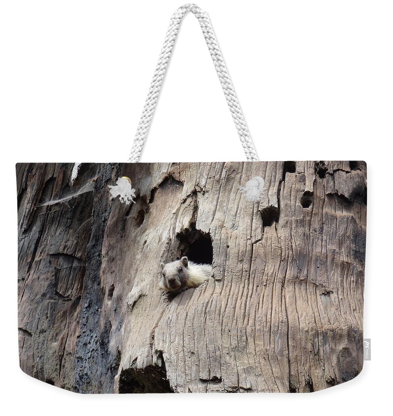 Animal Weekender Tote Bag featuring the photograph Animal by Joelle Philibert