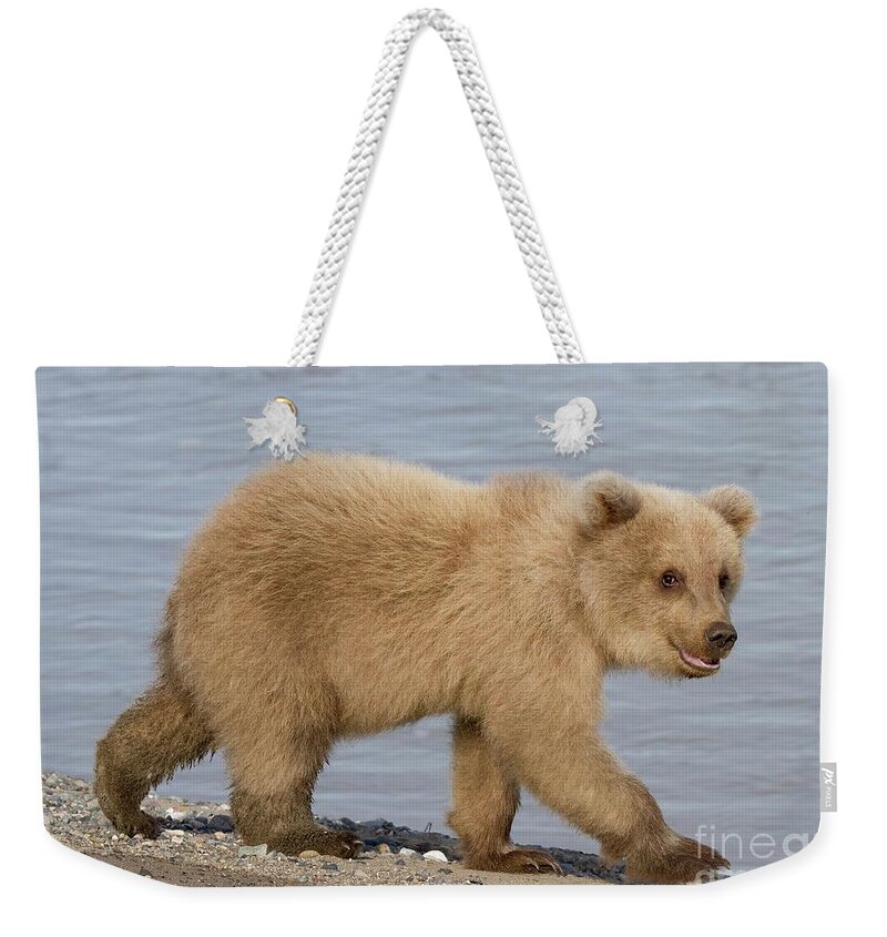 Animal Weekender Tote Bag featuring the photograph Animal Magnetism by Chris Scroggins