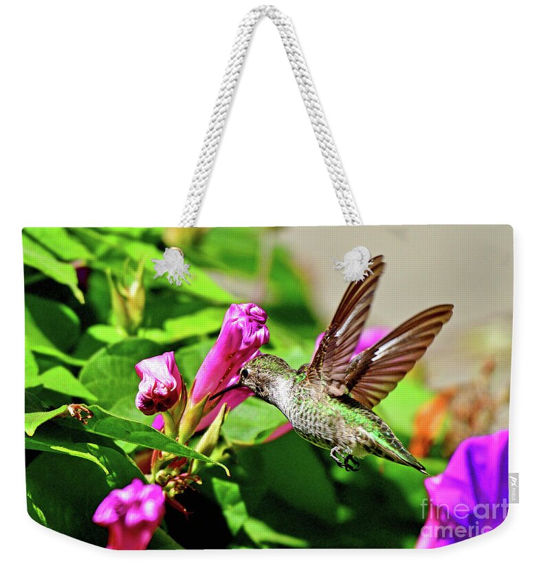 Anna's Hummingbird Weekender Tote Bag featuring the photograph Anna's hummingbird by Amazing Action Photo Video