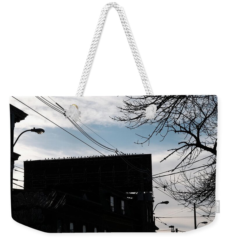 Bird Weekender Tote Bag featuring the photograph Another One For Alfred by Kreddible Trout