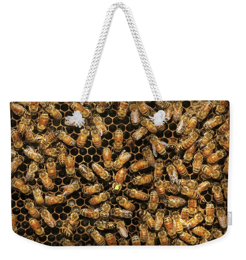 Bee Weekender Tote Bag featuring the photograph Apiary - Bee - All hail the queen by Mike Savad