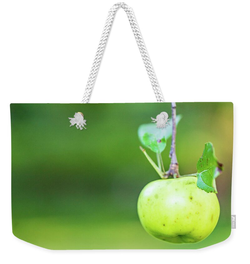 Nature Weekender Tote Bag featuring the photograph Apple Tree Fall 2020 2 by Amelia Pearn