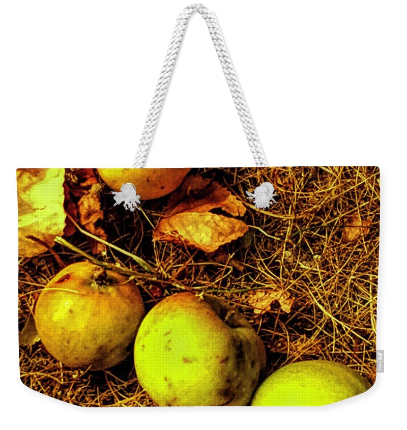 Apples Weekender Tote Bag featuring the photograph Apples by Kathryn Alexander MA