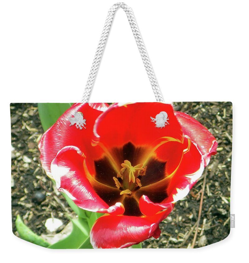 Flower Weekender Tote Bag featuring the photograph April Flowers - Shady Interiors by Joseph A Langley