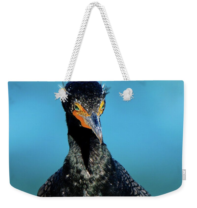 Double Crested Cormorant Weekender Tote Bag featuring the photograph Aqua Eyes by John F Tsumas