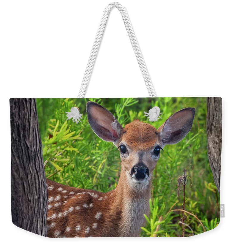 Wildlife Weekender Tote Bag featuring the photograph Are You Coming? by Louise Lindsay