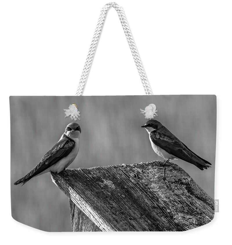 Avian Weekender Tote Bag featuring the photograph Are You Kidding Me by Cathy Kovarik
