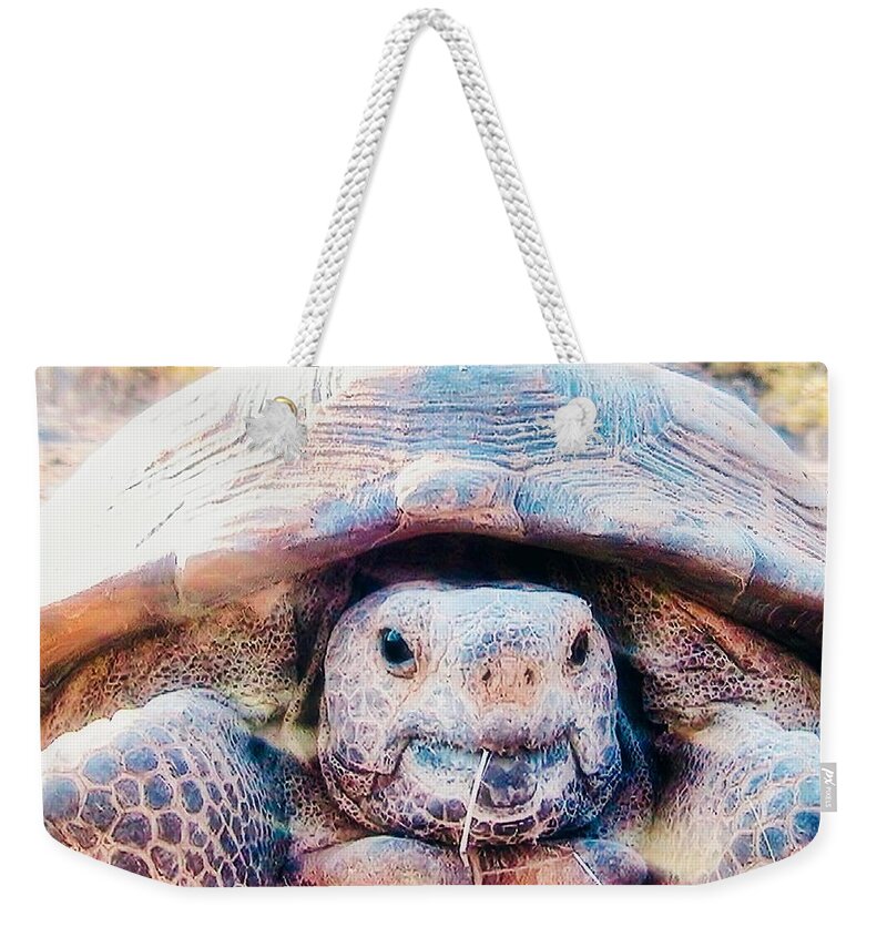 Funny Face Weekender Tote Bag featuring the photograph Aren't I Gorgeous? by Judy Kennedy