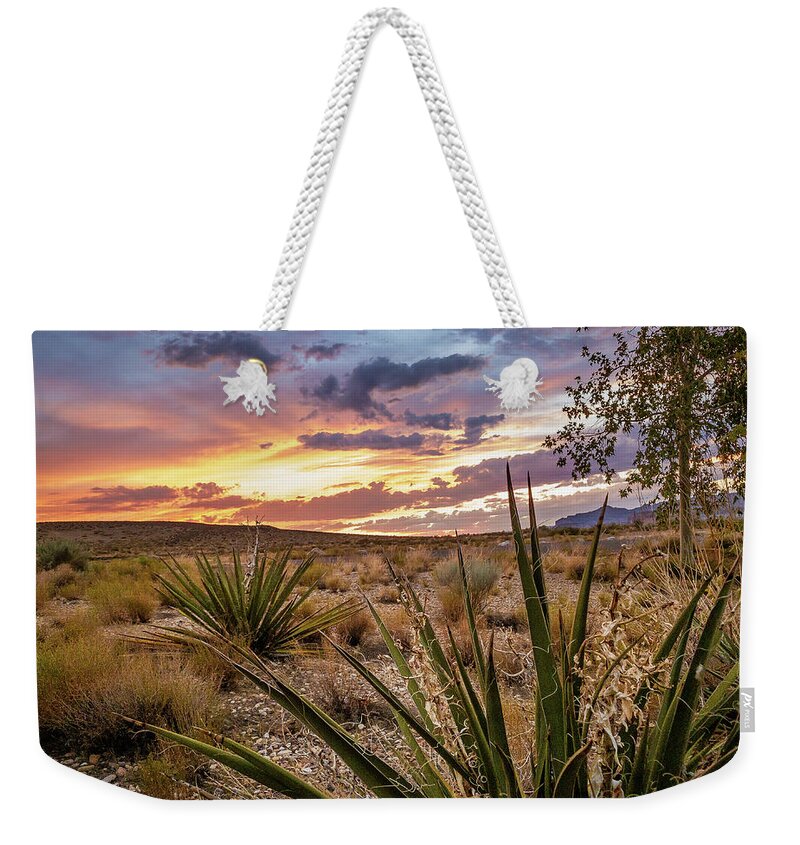 Lake Powell Weekender Tote Bag featuring the photograph Arizona Desert Sunset by Bradley Morris