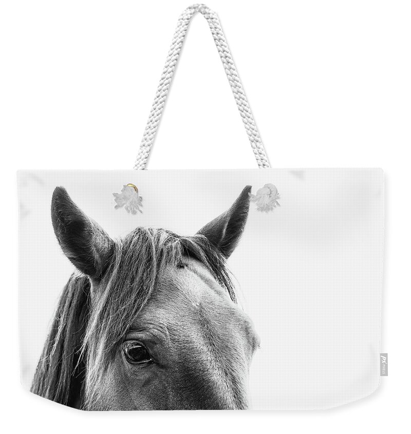 Horse Weekender Tote Bag featuring the photograph Arlo II - Horse Art by Lisa Saint