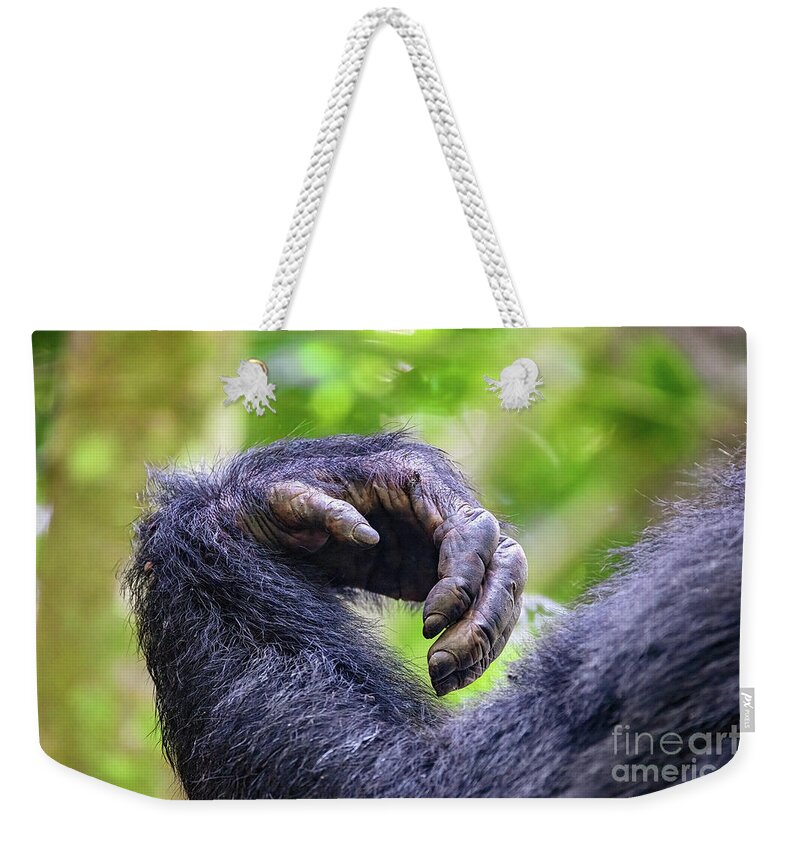 Chimpanzee Weekender Tote Bag featuring the photograph Arm and hand detail of an adult common chimpanzee, pan troglodyt by Jane Rix