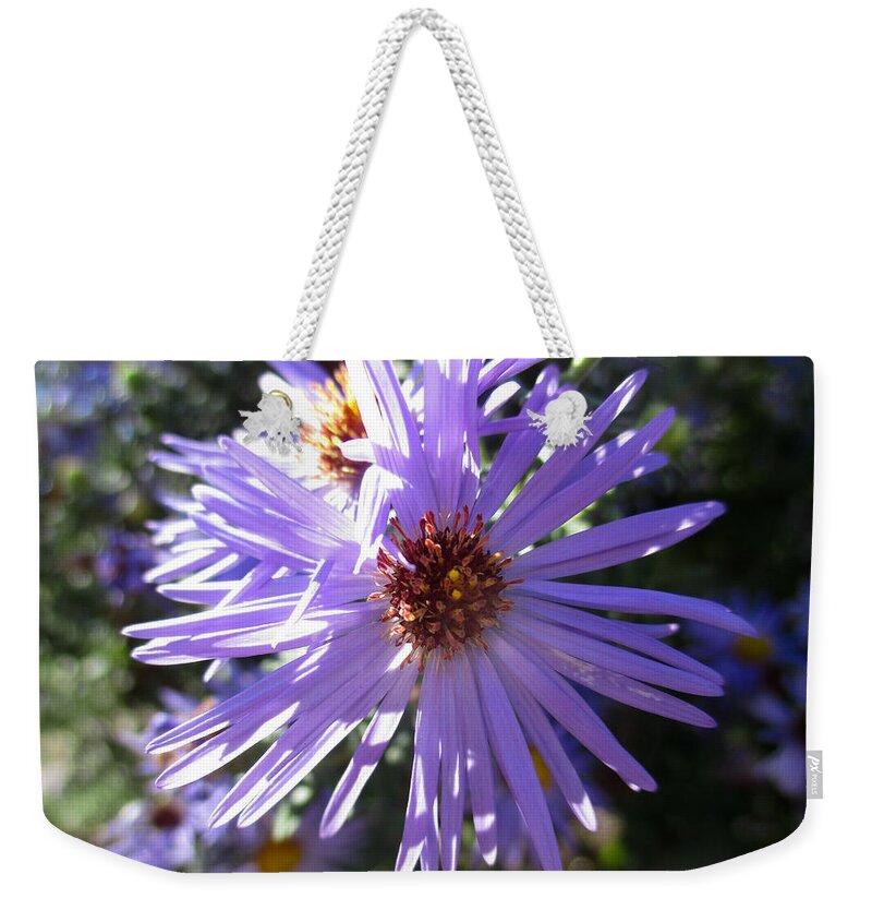 Aster Weekender Tote Bag featuring the photograph Aromatic Aster by W Craig Photography