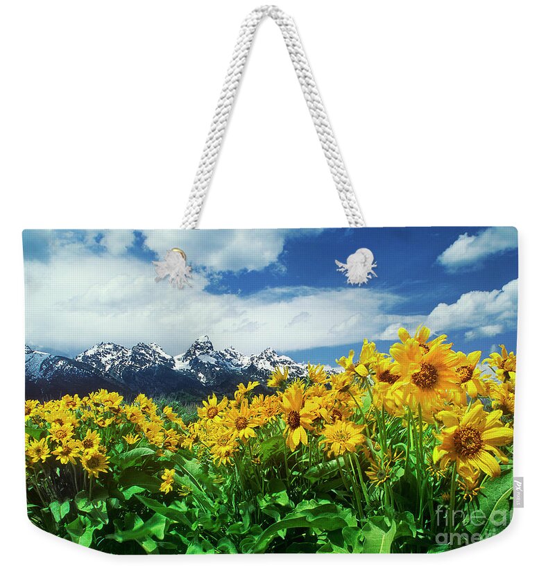 Dave Welling Weekender Tote Bag featuring the photograph Arrowleaf Balsamroot Grand Tetons National Park Wyoming by Dave Welling