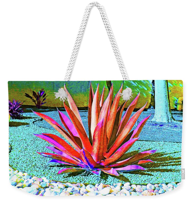Agave Weekender Tote Bag featuring the photograph Artistic Agave Plant by Andrew Lawrence
