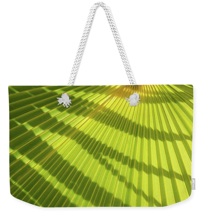 Palm Leaf Weekender Tote Bag featuring the photograph Green palm leaf and shadows 1 by Adriana Mueller