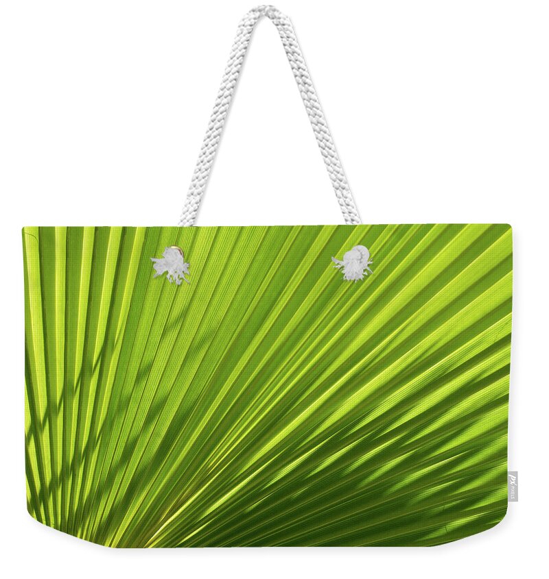 Palm Leaf Weekender Tote Bag featuring the photograph Palm leaf with light and shadow 2 by Adriana Mueller