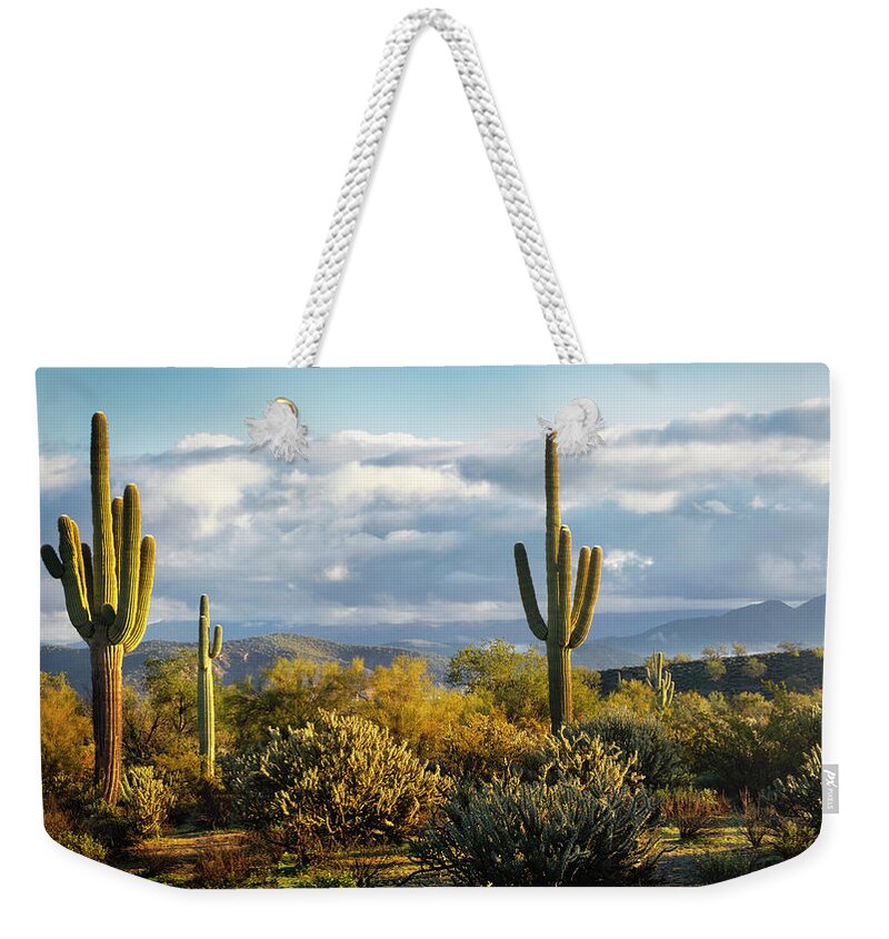Saguaro Sunrise Weekender Tote Bag featuring the photograph As The Desert Awakens by Saija Lehtonen