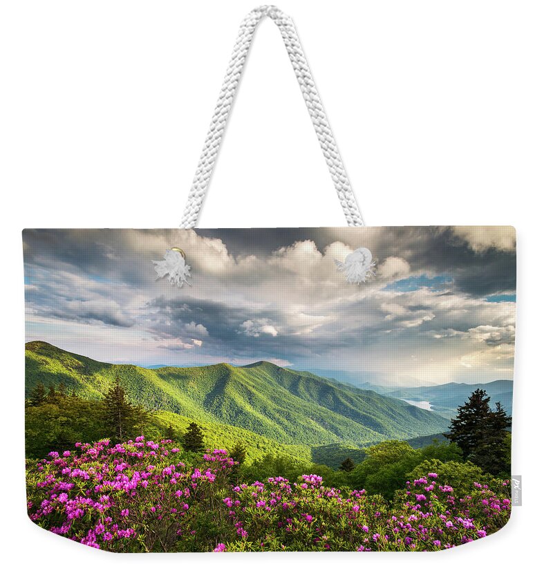 North Carolina Weekender Tote Bag featuring the photograph Asheville NC Blue Ridge Parkway Spring Flowers by Dave Allen