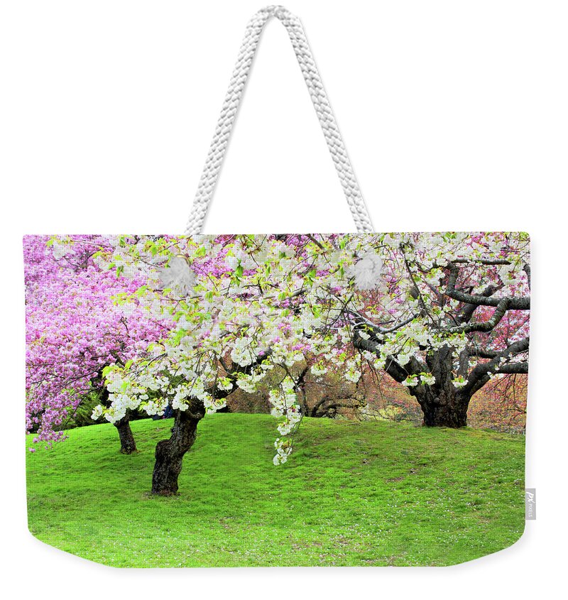 Cherry Trees Weekender Tote Bag featuring the photograph Asian Inspired by Jessica Jenney