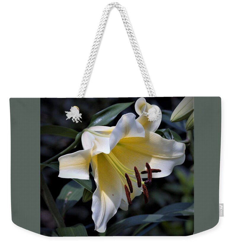 Asiatic Lily Weekender Tote Bag featuring the photograph Asiatic Lily by Nancy Ayanna Wyatt