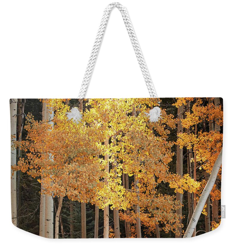 Scenics Weekender Tote Bag featuring the photograph Aspen Glow by Mary Lee Dereske