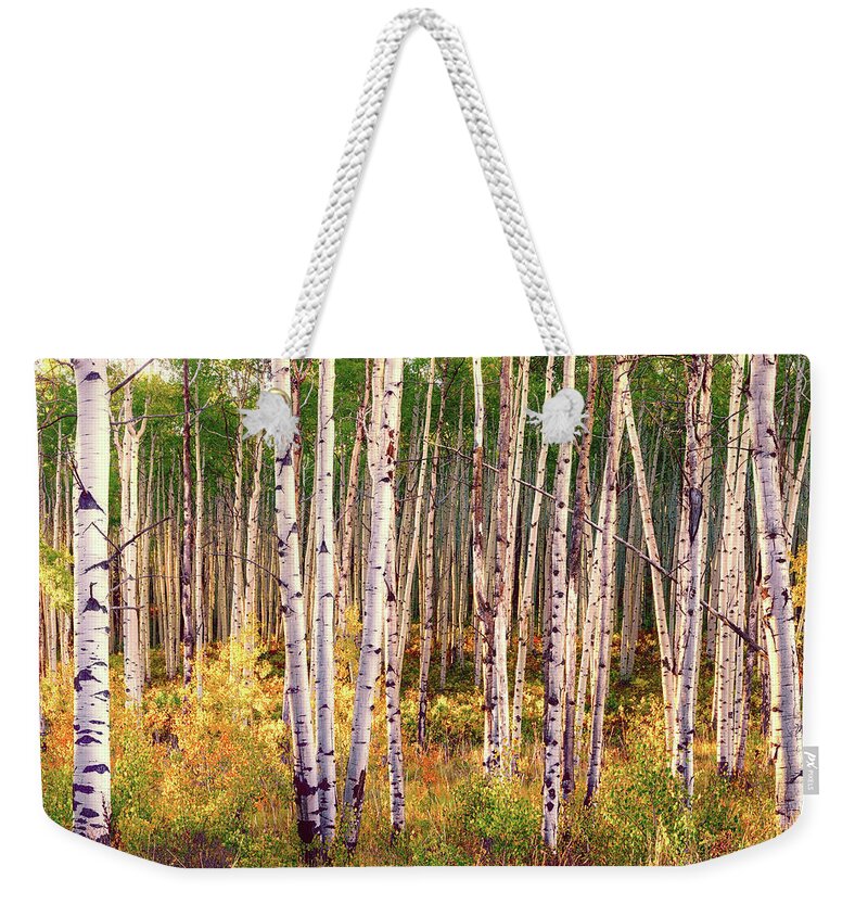 Beautiful Autumn Scenery In The Leaf-changing Aspen Grove aspen Weekender Tote Bag featuring the pyrography Aspen grove in autumn I by Lena Owens - OLena Art Vibrant Palette Knife and Graphic Design