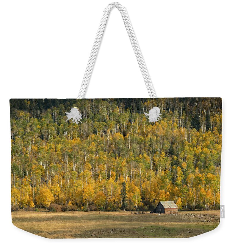 Aspen Weekender Tote Bag featuring the photograph Aspen near Pagosa Springs-3 by Mark Langford