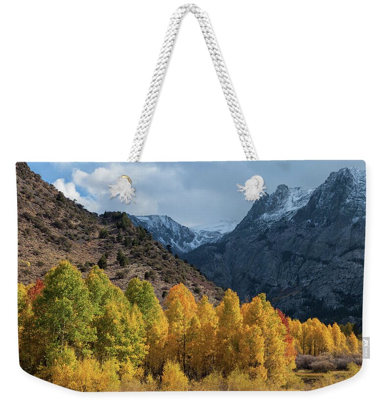 Trees Weekender Tote Bag featuring the photograph Aspen Trees In Autumn by Jonathan Nguyen