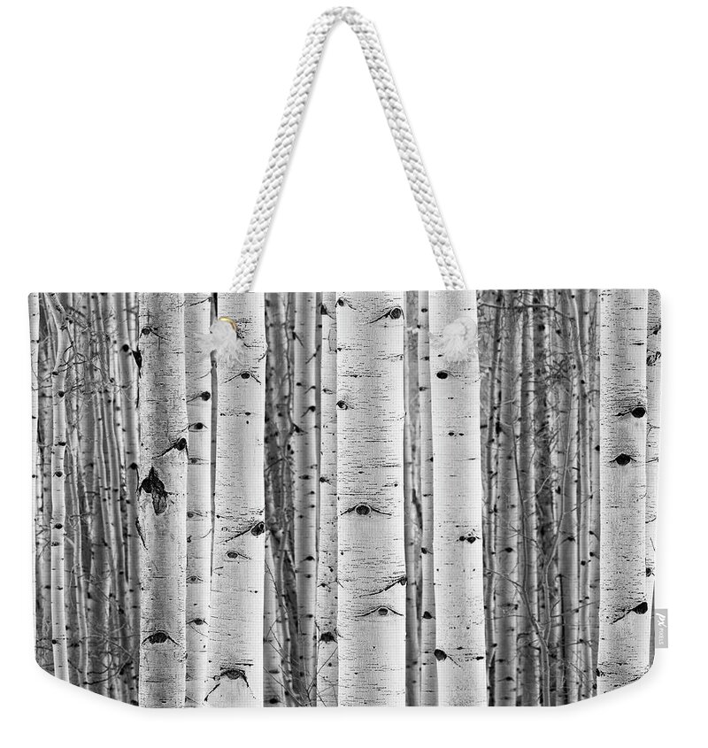 Aspen Weekender Tote Bag featuring the photograph Aspen Trunks In Black and White by Denise Bush