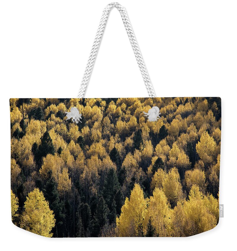 Aspen Weekender Tote Bag featuring the photograph Aspens In Cabresto Canyon by Ron Weathers